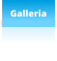 Galleria